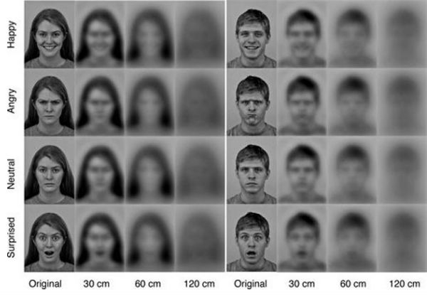 Estudo recente mostra como o recém-nascido enxerga os pais (muito bacana!) Estudo recente mostra como o recém-nascido enxerga os pais (muito bacana!)